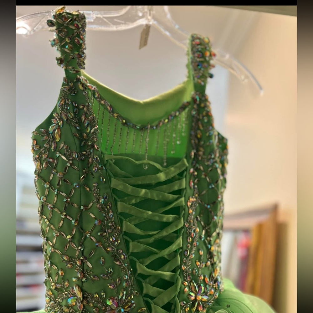 Ritzee Girl pageant dress - Picture 3 of 3